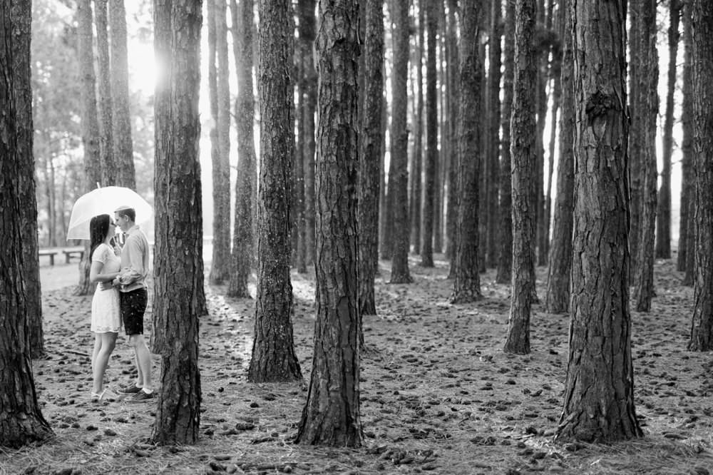 Pine Forest Gold Coast Engagement by Mario Colli Photography