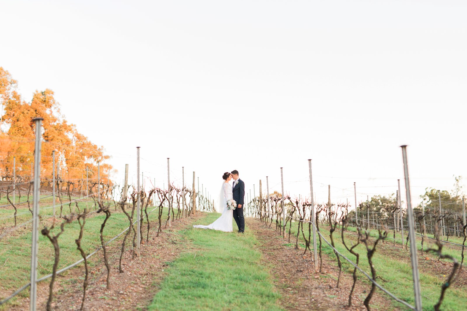 Sirromet Winery wedding by Mario Colli Photography