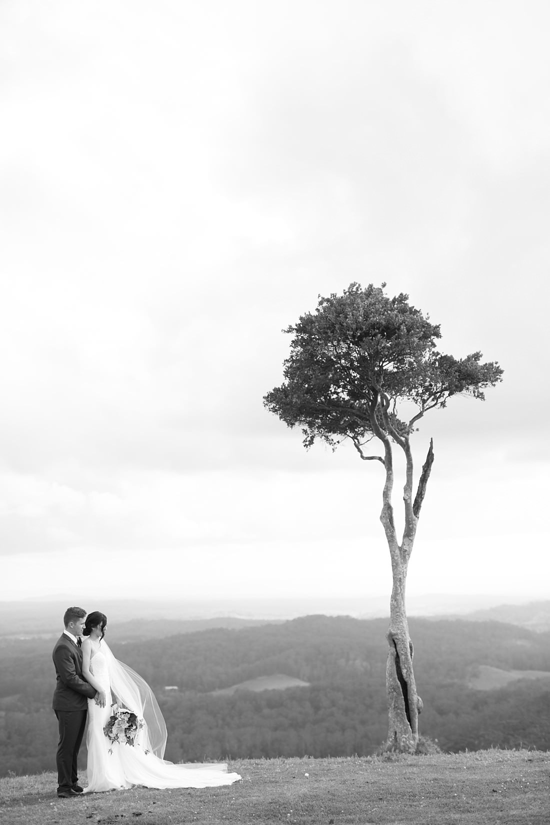 weddings at tiffanys maleny by mario colli photography