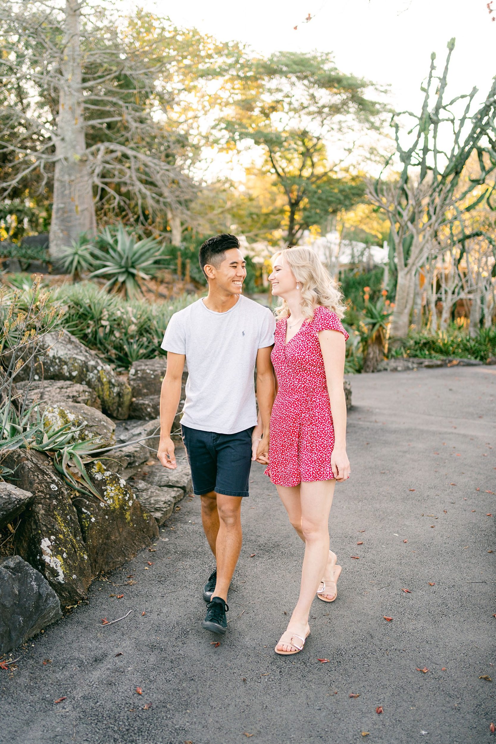 engagement session at mt coot-tha
