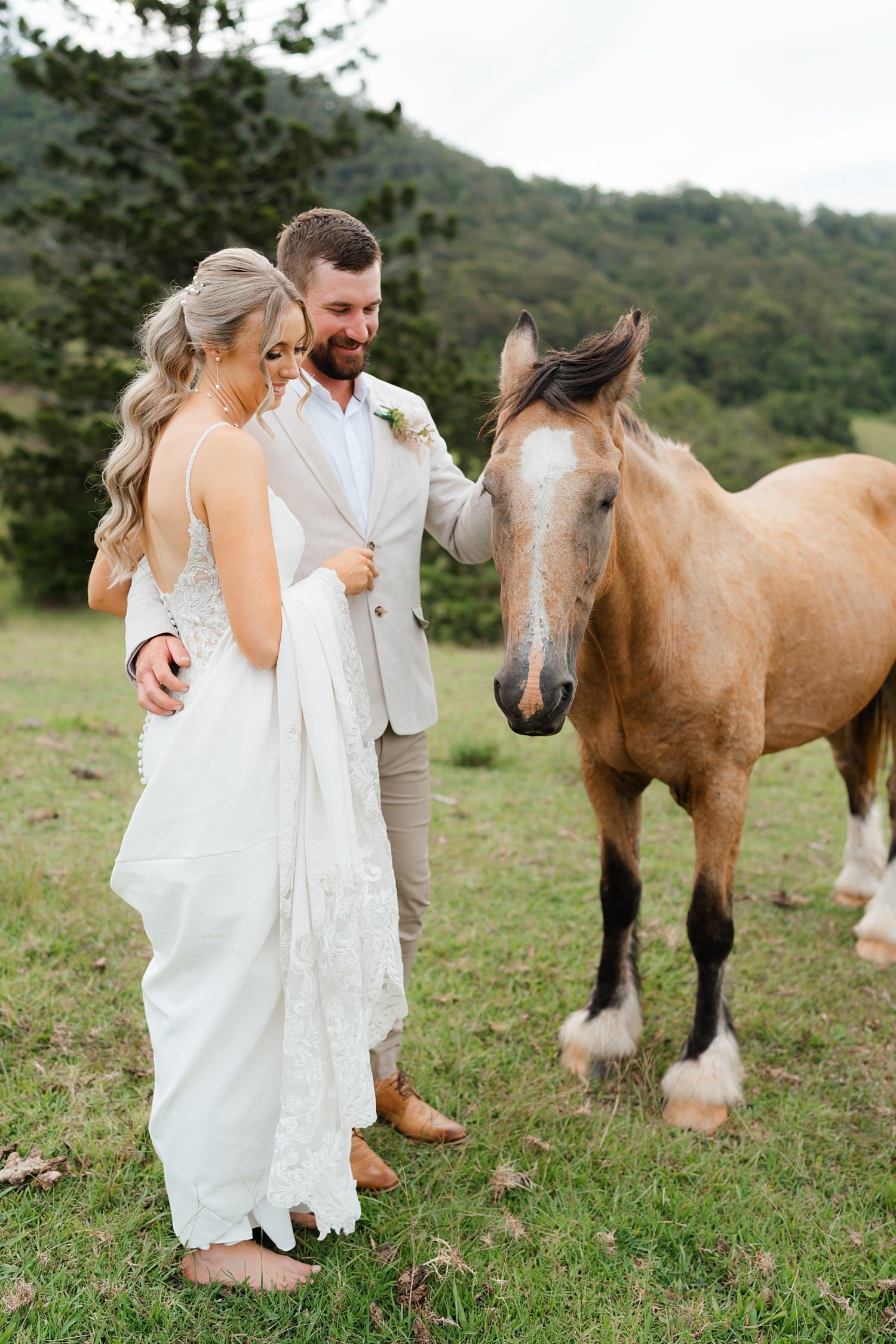 gorgeous horses and bride and groom at cowbell creek