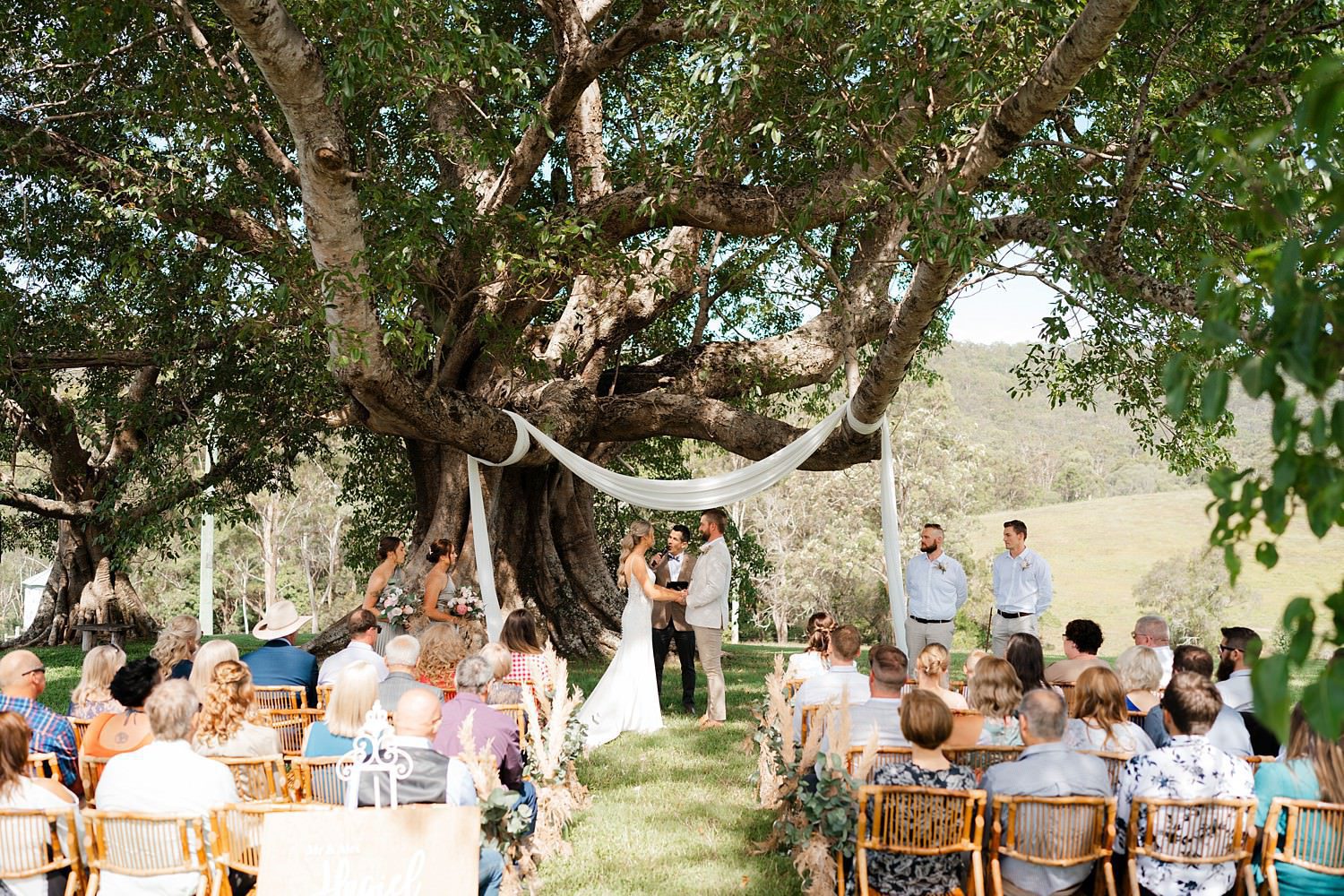 couple getting married at the giant fig tree at cowbell creek